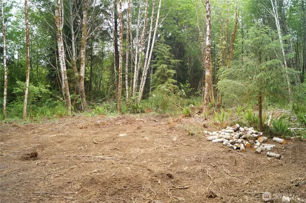 a view of backyard with green space