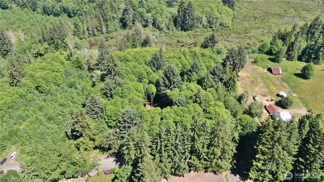 a view of a flower in a garden