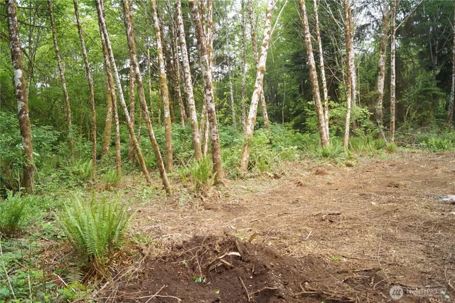 a view of small yard