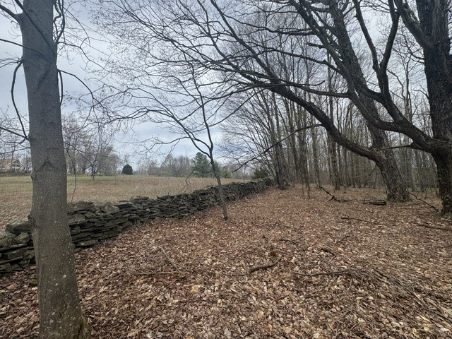 Lot 4 Shaver Hill Road Meridale, NY 13806 - Photo 6 of 44