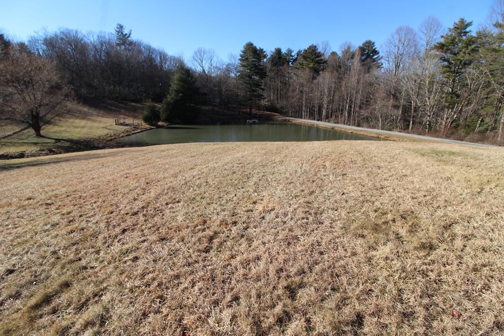 125 Round Hill Road Fancy Gap, VA 24328 - Photo 68 of 74 Gallery Image 68