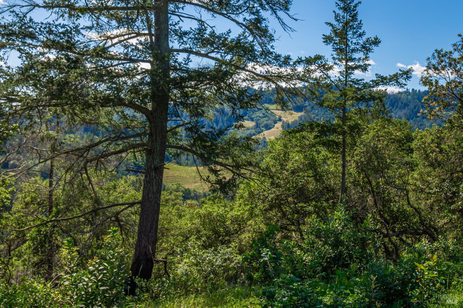 0 Dry Creek Road Napa, CA 94558 - Photo 94 of 98