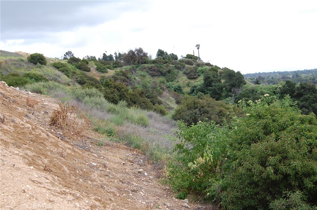 0 Broken Spur Road La Verne, CA 91750 - Photo 11 of 28 a view of a dry yard with trees