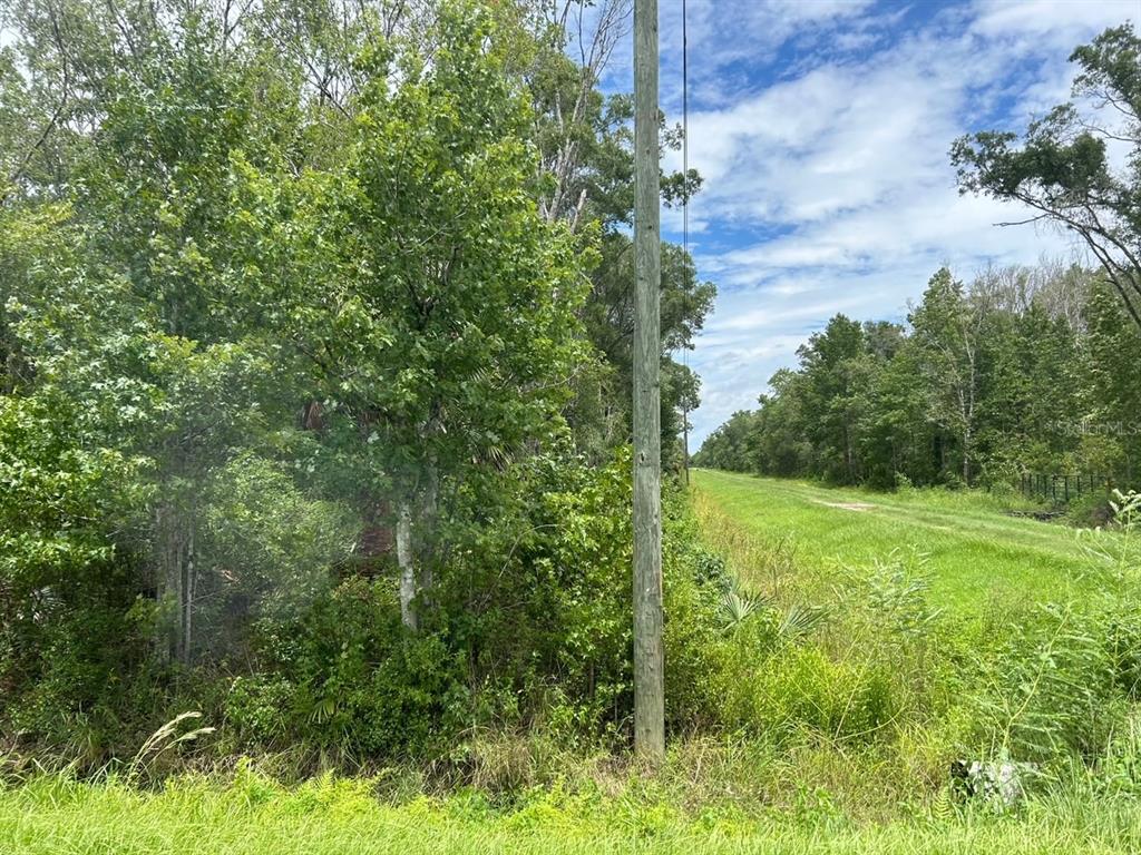 10965 Ruth Avenue Hastings, FL 32145 - Photo 4 of 12 Gallery Image 4