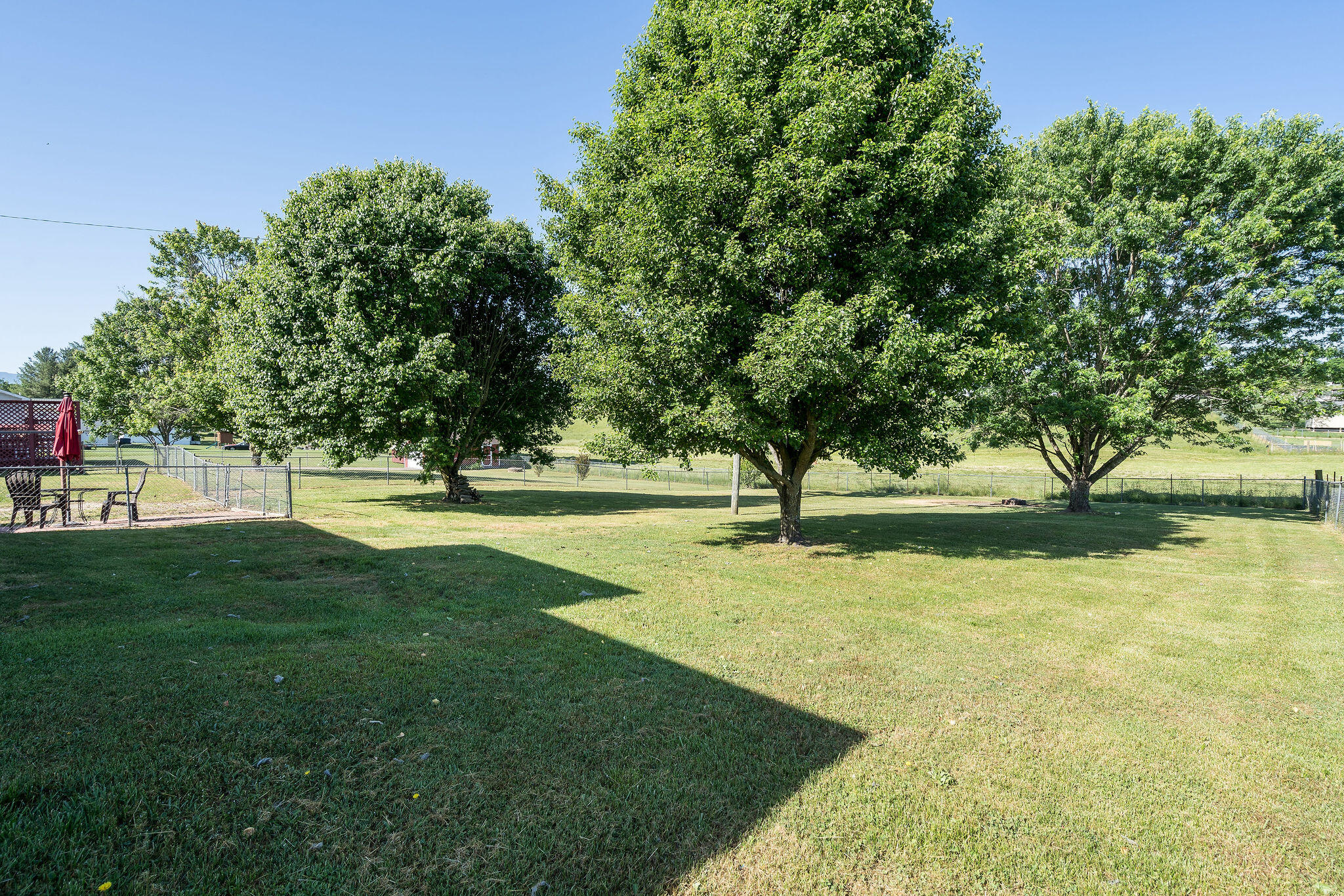 625 Stone Dam Road Chuckey, TN 37641 - Photo 11 of 43 DSC00599-Edit
