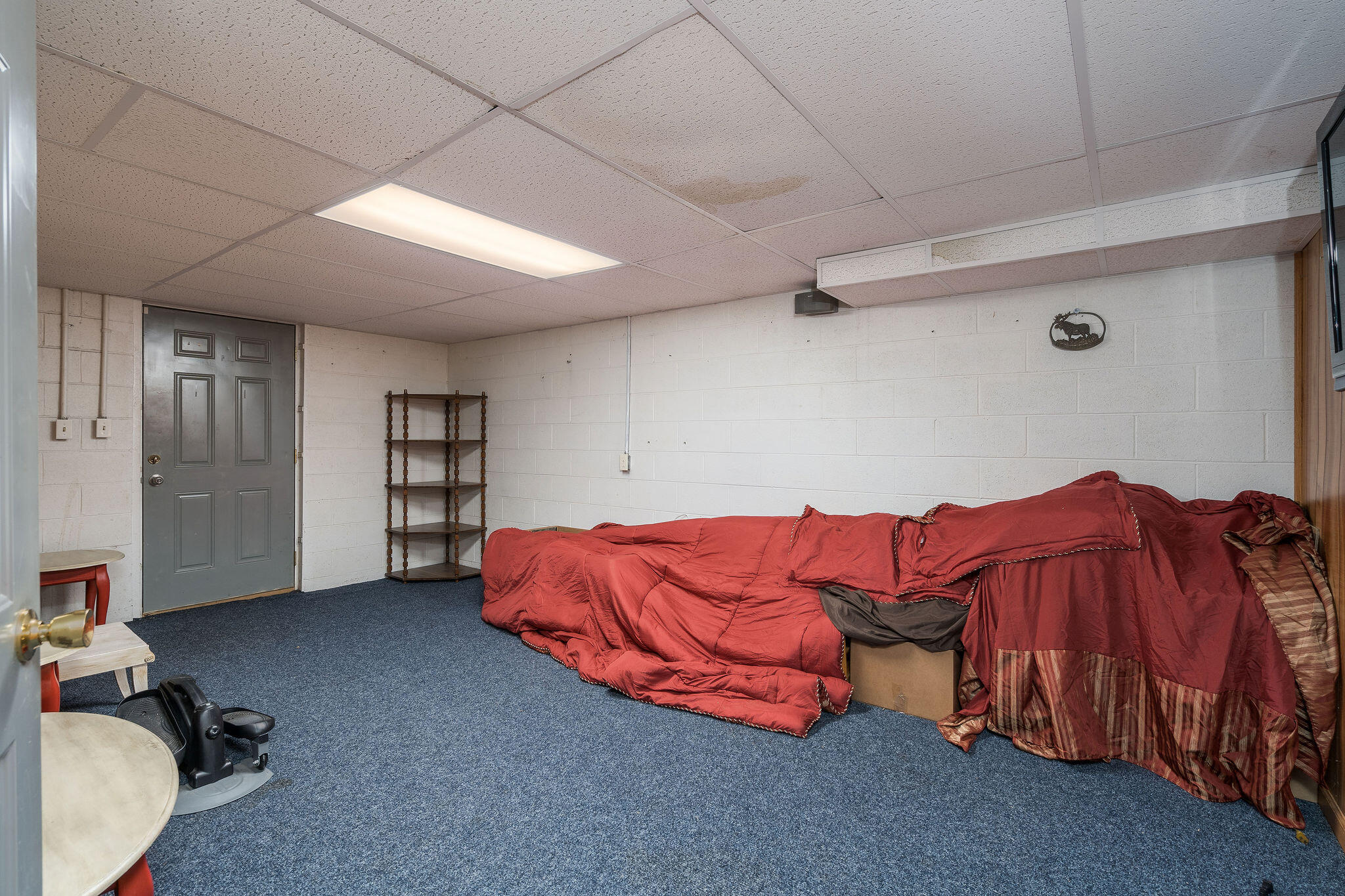 625 Stone Dam Road Chuckey, TN 37641 - Photo 41 of 43 DSC00888-Edit