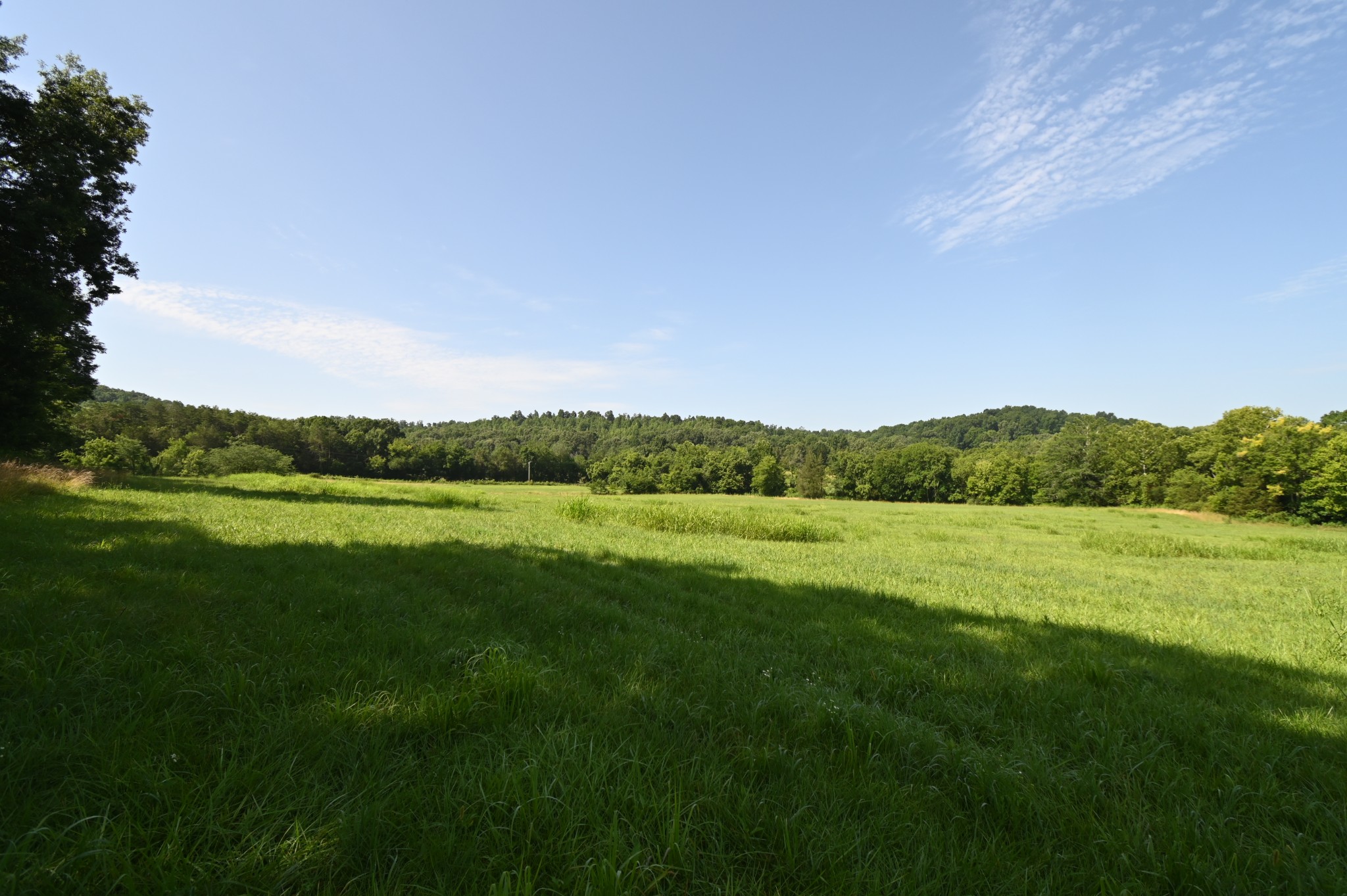 0 Culps Bend Road Clifton, TN 38425 - Photo 30 of 41