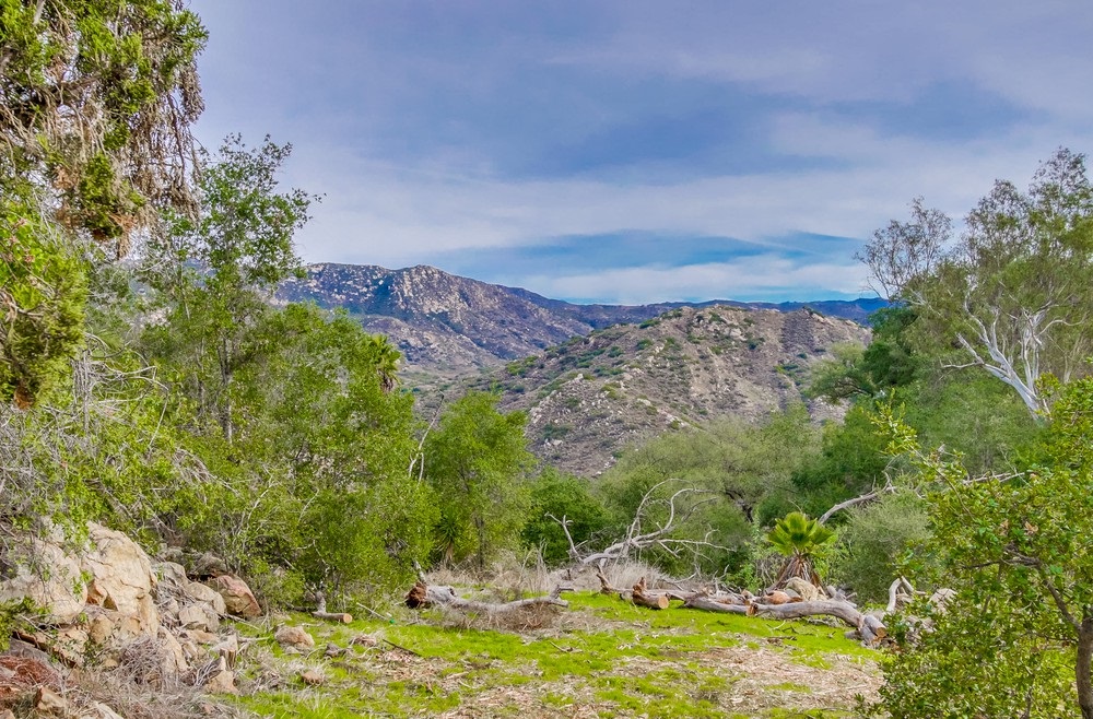 3122 Reed Road Escondido, CA 92027 - Photo 21 of 25