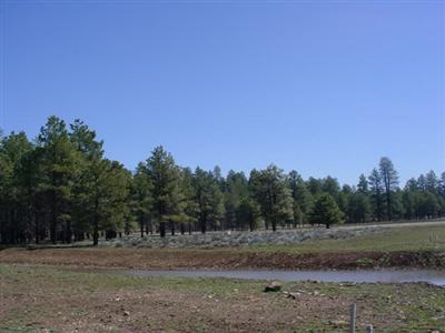 14 Brackin Ranch Road Flagstaff, AZ 86001 - Photo 1 of 20 Primary Photo