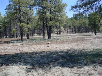 14 Brackin Ranch Road Flagstaff, AZ 86001 - Photo 11 of 20 Additional Photo