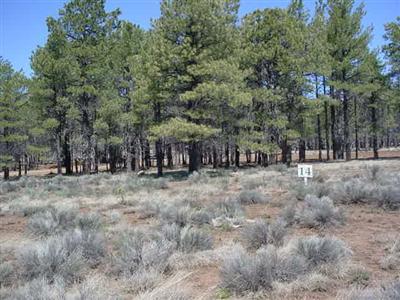 14 Brackin Ranch Road Flagstaff, AZ 86001 - Photo 12 of 20 Additional Photo