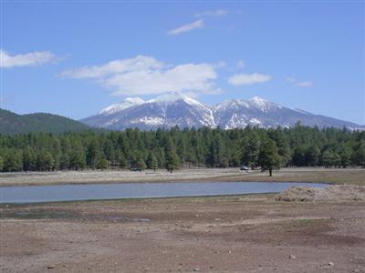 14 Brackin Ranch Road Flagstaff, AZ 86001 - Photo 16 of 20 Additional Photo