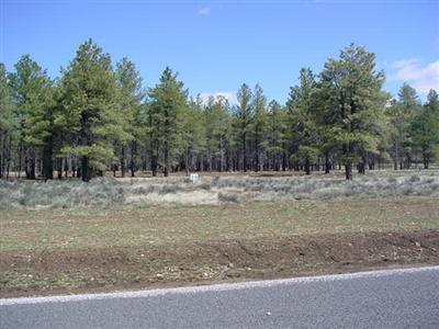 14 Brackin Ranch Road Flagstaff, AZ 86001 - Photo 2 of 20 Additional Photo