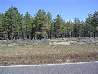 14 Brackin Ranch Road Flagstaff, AZ 86001 - Photo 3 of 20 Additional Photo