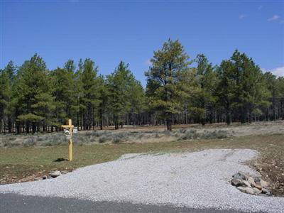 14 Brackin Ranch Road Flagstaff, AZ 86001 - Photo 4 of 20 Additional Photo