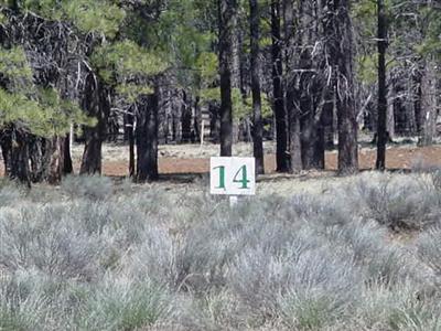 14 Brackin Ranch Road Flagstaff, AZ 86001 - Photo 7 of 20 Additional Photo