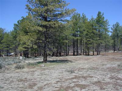 14 Brackin Ranch Road Flagstaff, AZ 86001 - Photo 8 of 20 Additional Photo