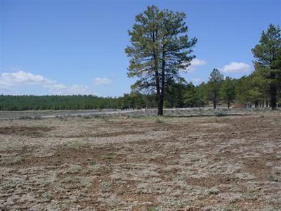 14 Brackin Ranch Road Flagstaff, AZ 86001 - Photo 9 of 20 Additional Photo