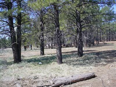 14 Brackin Ranch Road Flagstaff, AZ 86001 - Photo 10 of 20 Additional Photo