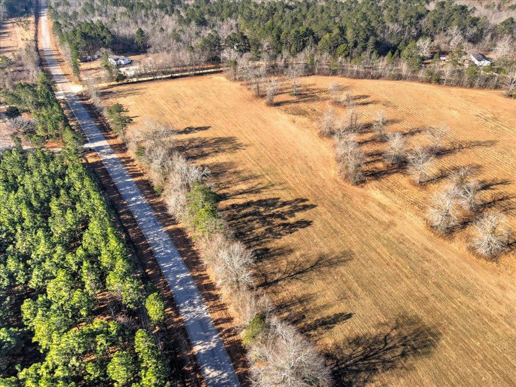 Lot 1 Coleman Bridge Road Wagener, SC 29164 - Photo 4 of 27