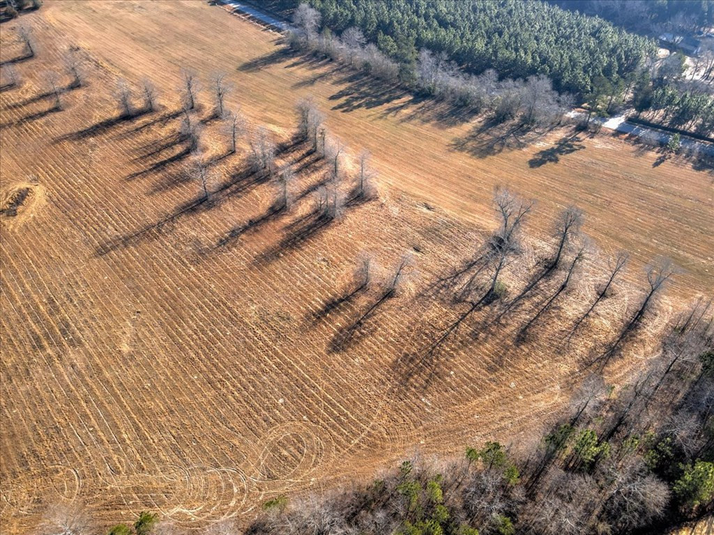 Lot 1 Coleman Bridge Road Wagener, SC 29164 - Photo 8 of 27