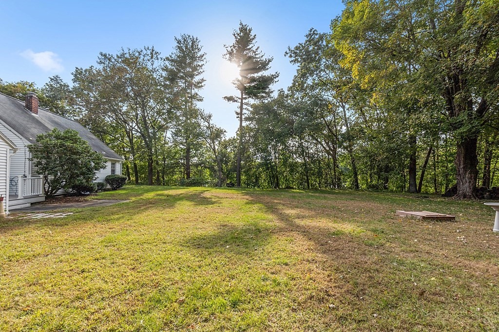 347 Palmer Road Ware, MA 01082 - Photo 8 of 40 a view of a yard with trees