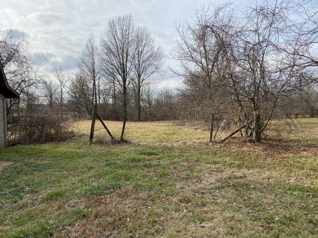 6720 Liberty Road North Powell, OH 43065 - Photo 13 of 52