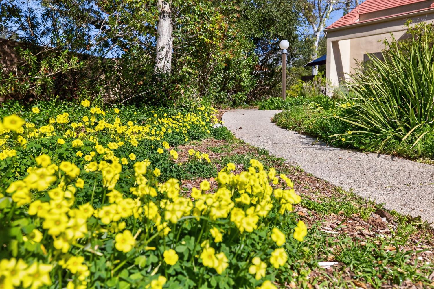 203 North Carrillo Road, Unit B Ojai, CA 93023 - Photo 6 of 50