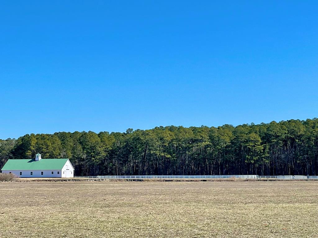 Lot 31 Miles Road, Unit 31 New Church, VA 23415 - Photo 13 of 24