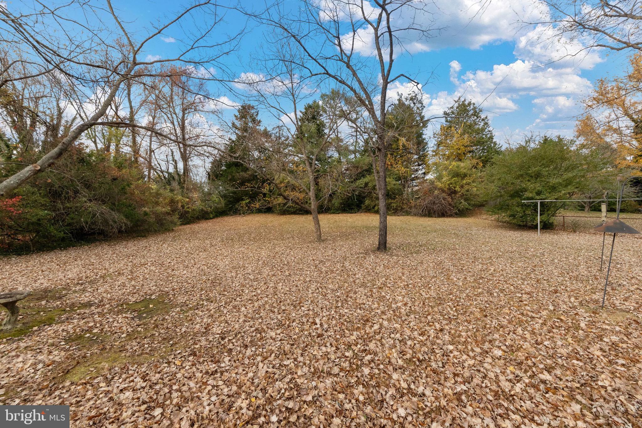 115 Valley View Avenue Edgewater, MD 21037 - Photo 47 of 56 a backyard of a house with lots of green space