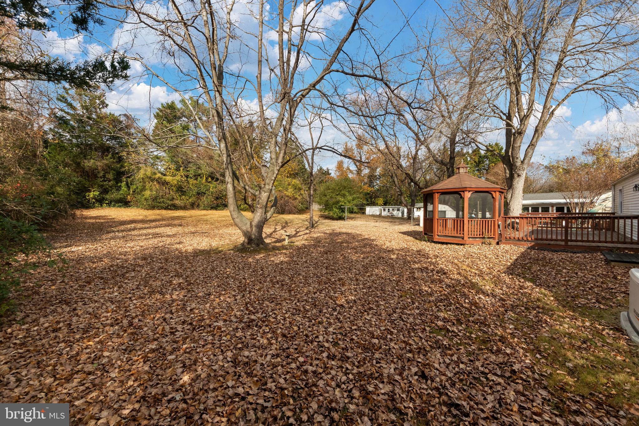115 Valley View Avenue Edgewater, MD 21037 - Photo 48 of 56 a view of road with covered with trees