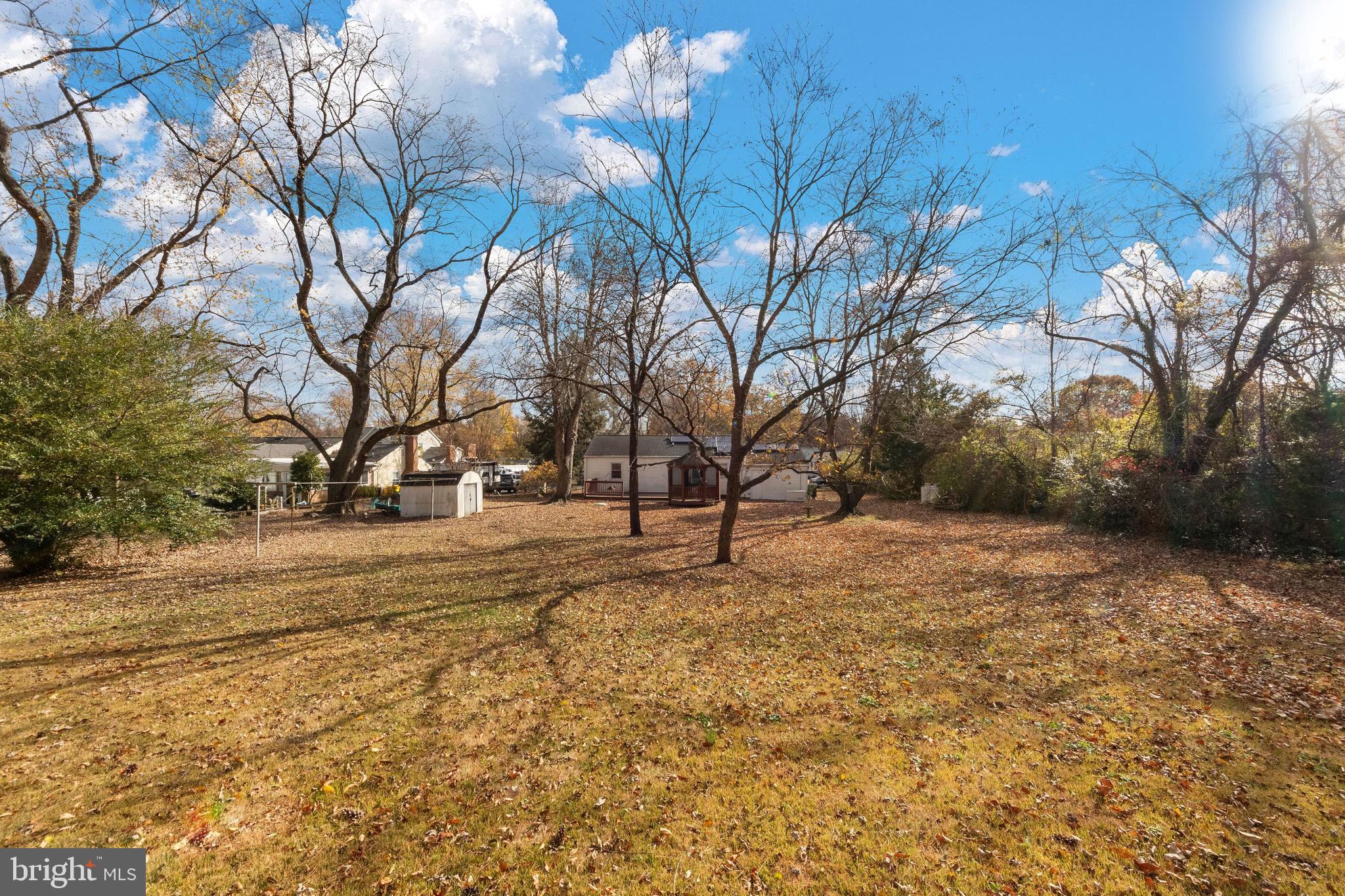 115 Valley View Avenue Edgewater, MD 21037 - Photo 50 of 56 a tree covered with snow in front of house