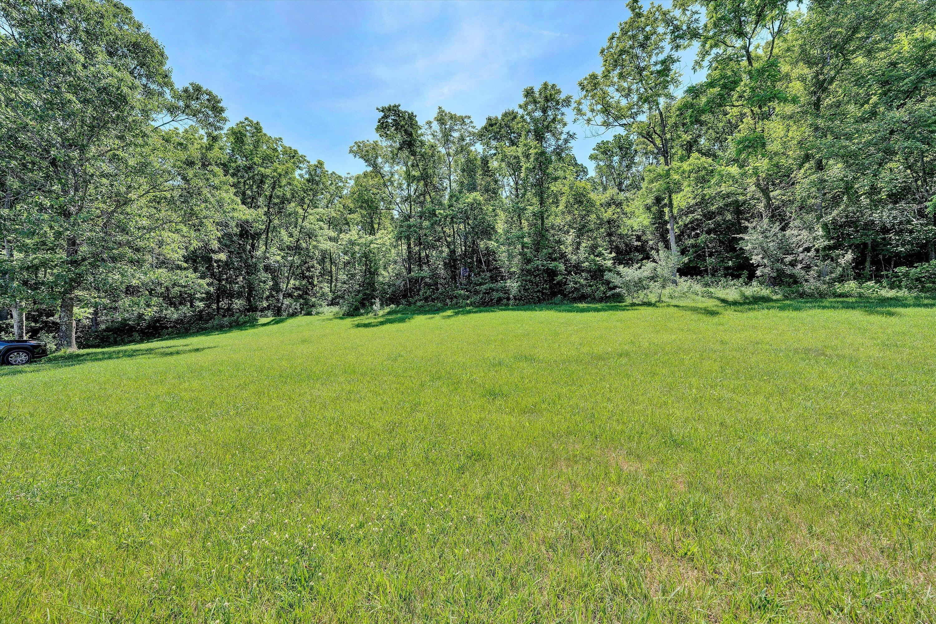 3774 Springwood Road Fincastle, VA 24090 - Photo 17 of 22 17-DSC00043