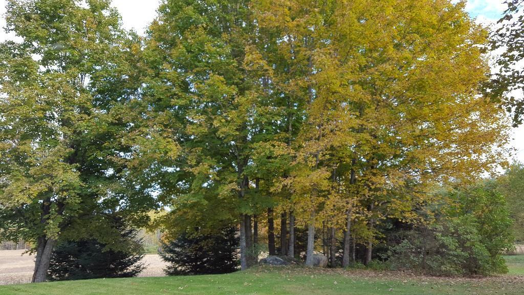 84 North Hill Road Buckfield, ME 04220 - Photo 29 of 35 Photo