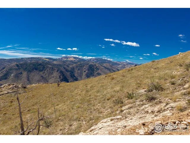 a view of a dry yard with wooden fence
