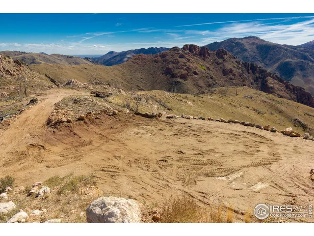 a view of a dry yard