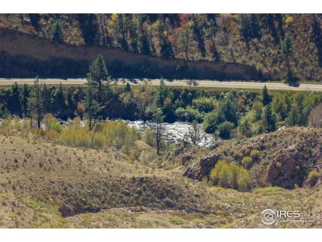 a view of a dry yard with trees in the background
