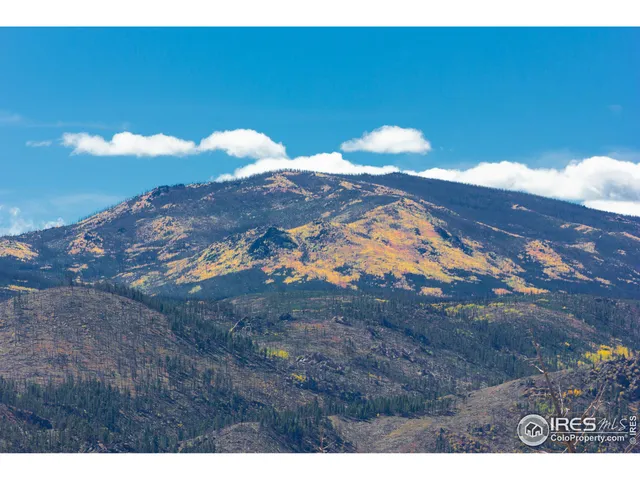 $81,000 | 45 Bull Rock Court, Livermore, CO 80536