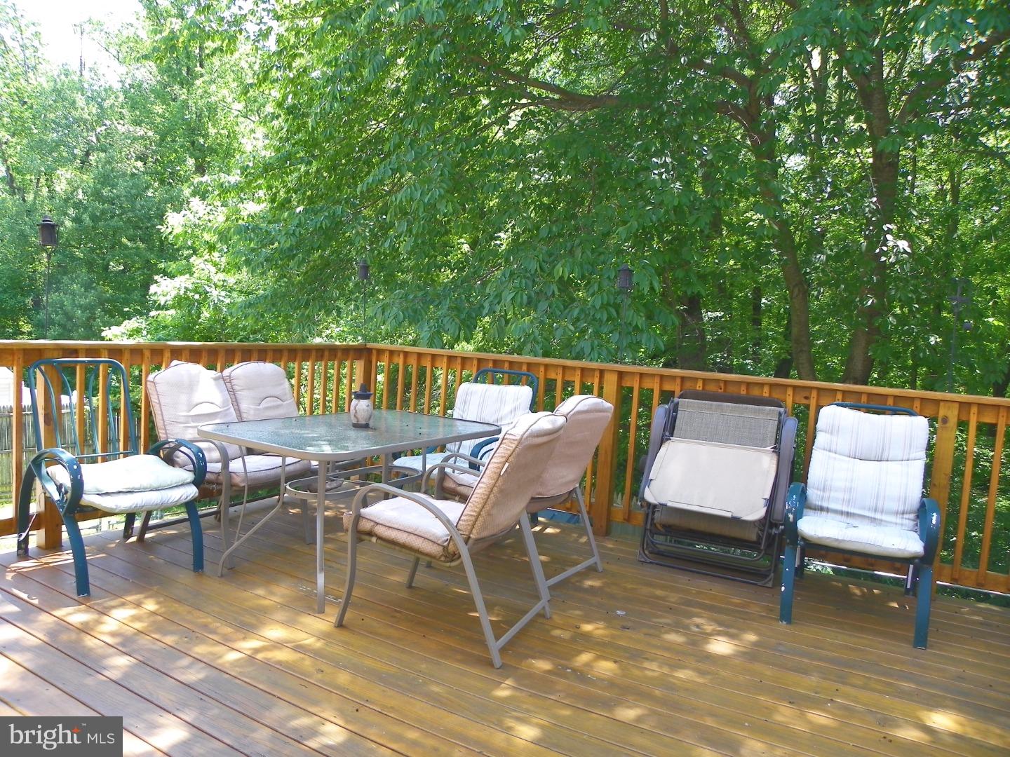 12807 Cabell Road Philadelphia, PA 19154 - Photo 11 of 25