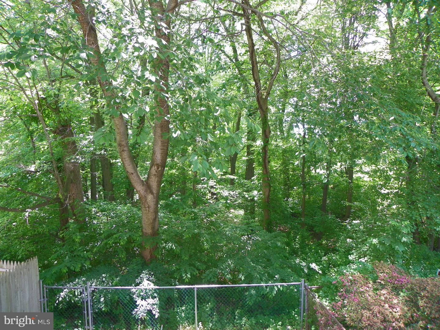 12807 Cabell Road Philadelphia, PA 19154 - Photo 10 of 25