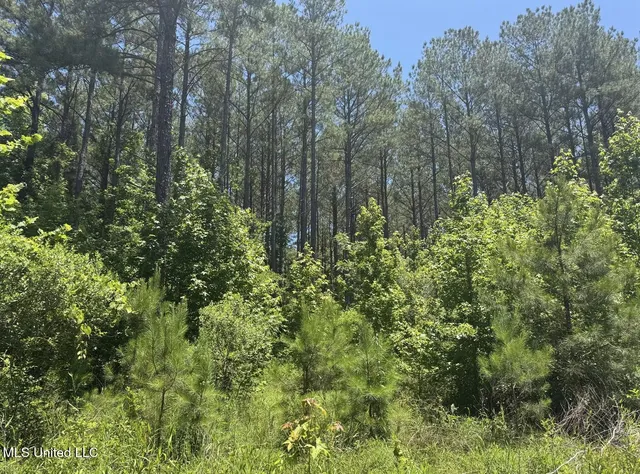 $186,000 | Zion Hill, Prentiss, MS 39474
