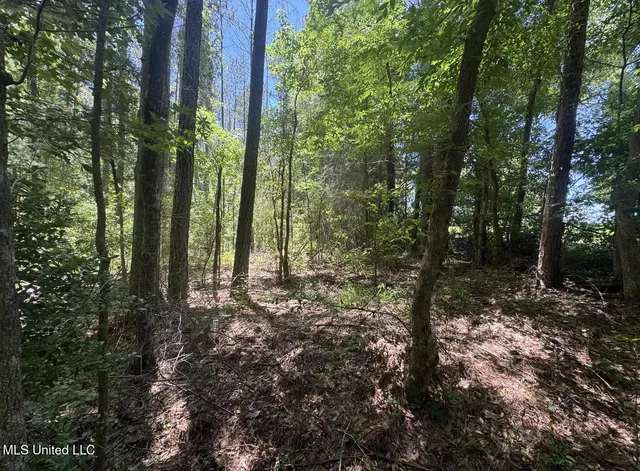 $186,000 | Zion Hill, Prentiss, MS 39474