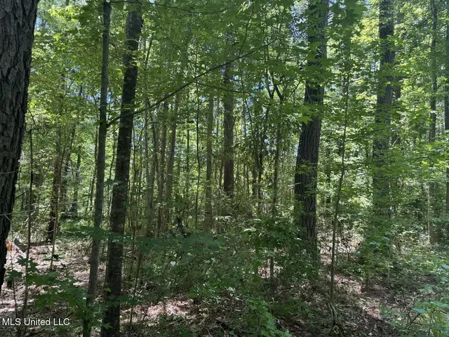 $186,000 | Zion Hill, Prentiss, MS 39474