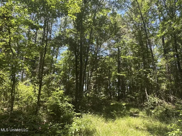 $186,000 | Zion Hill, Prentiss, MS 39474