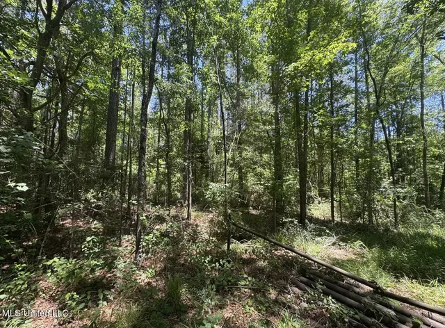 $186,000 | Zion Hill, Prentiss, MS 39474