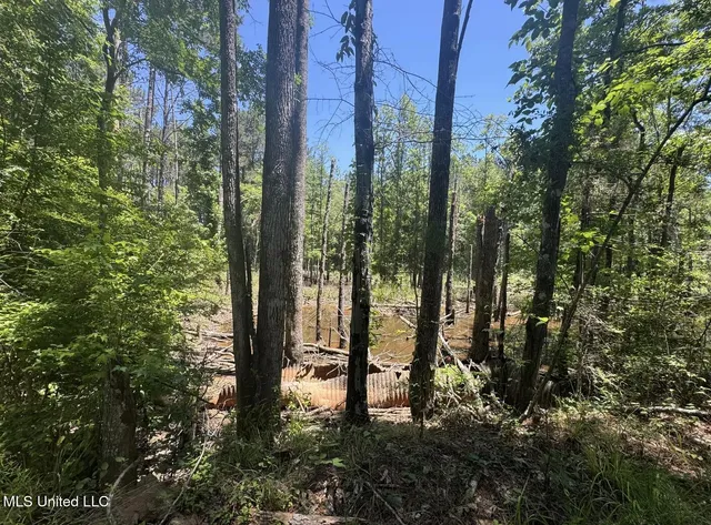 $186,000 | Zion Hill, Prentiss, MS 39474