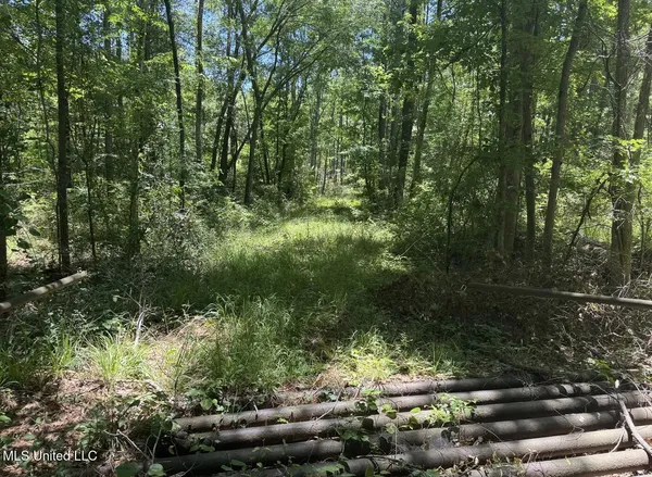 $186,000 | Zion Hill, Prentiss, MS 39474