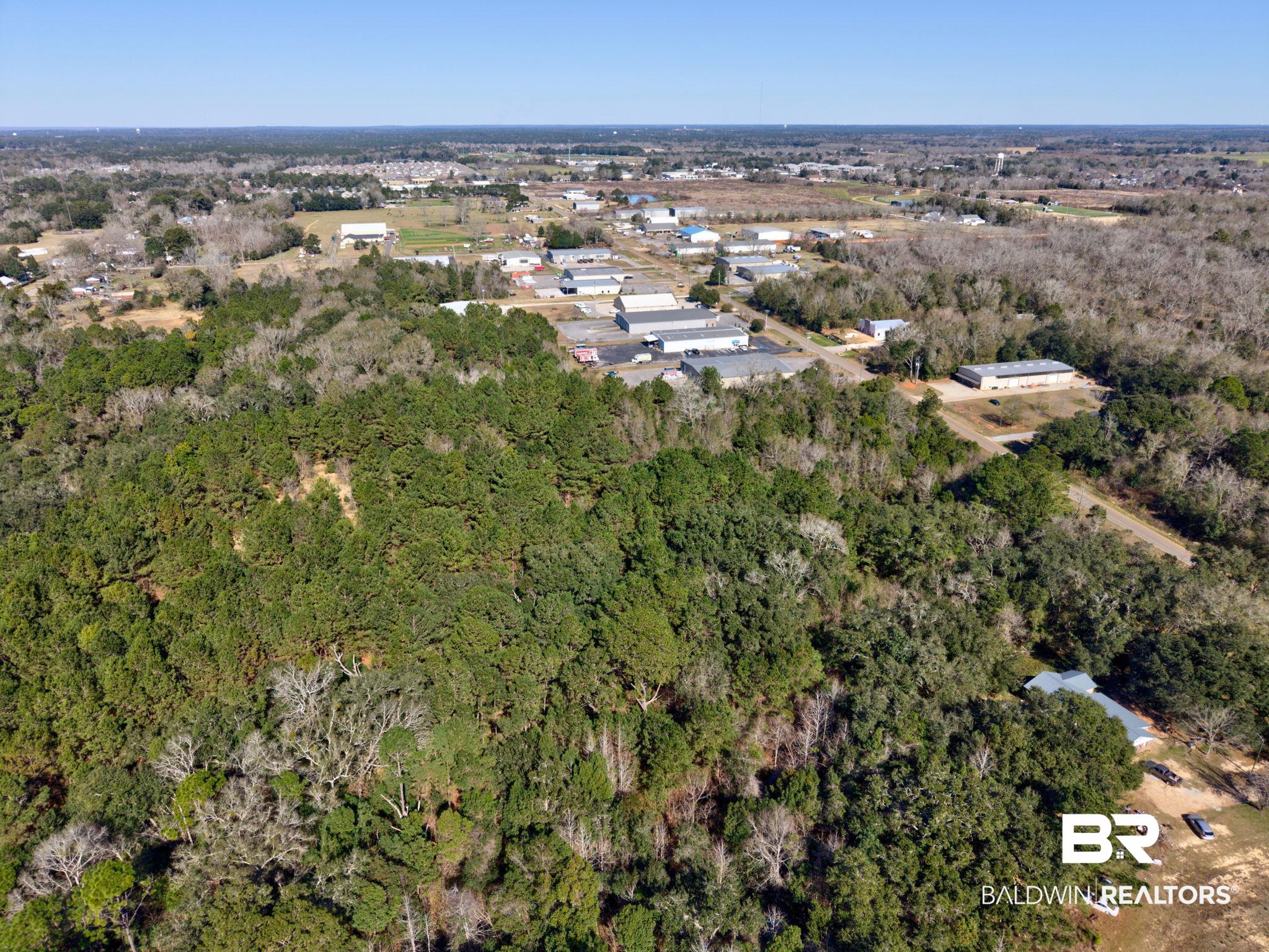 25280 Friendship Road Daphne, AL 36526 - Photo 25 of 34 Aerial overview of property's location featuring a forest