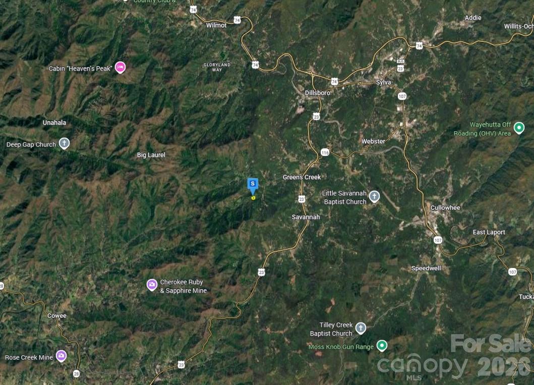 500 Brushy Fork Road Sylva, NC 28779 - Photo 3 of 5 a picture of tree