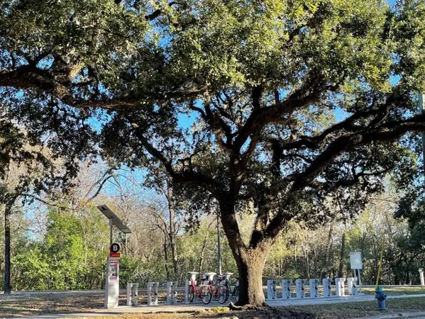 $1,425 | 2727 Houston Avenue, Unit 302, Houston, TX 77009